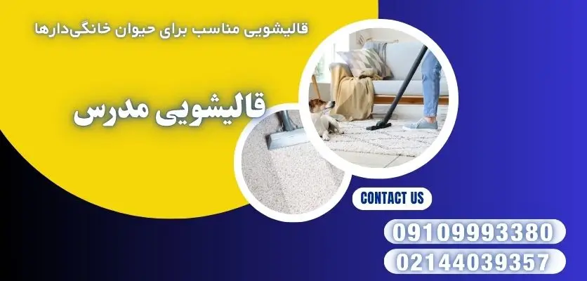 قالیشویی مناسب برای حیوان خانگیدارها