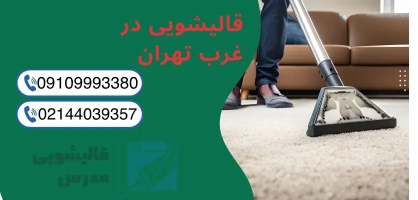 فضای کار قالیشویی حرفهای