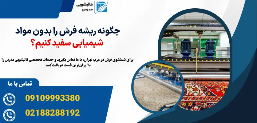 چگونه ریشه فرش را بدون مواد شیمیایی سفید کنیم؟