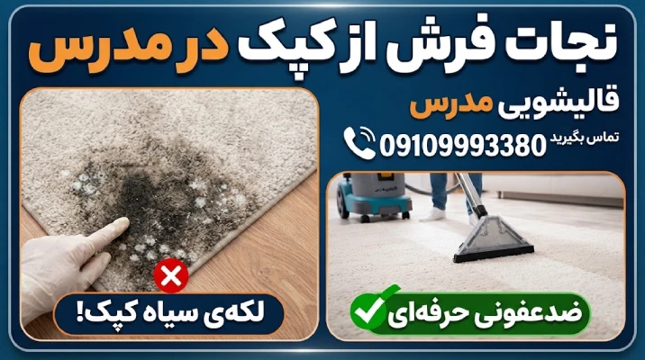 از بین بردن کپک فرش