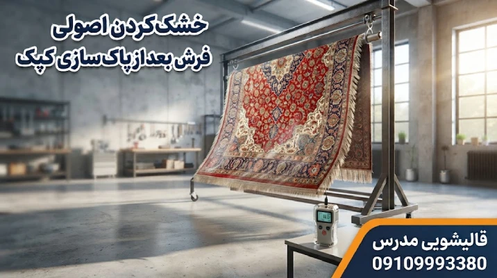 خشک کردن اصولی فرش بعد از پاک‌سازی کپک