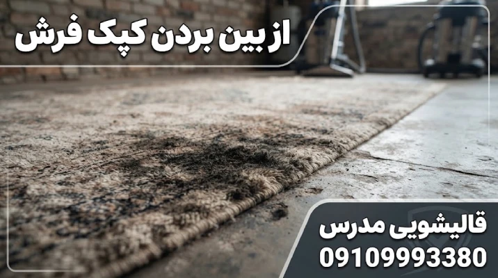 از بین بردن کپک فرش